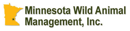 Logo Image Link To Our Minnesota Wild Animal Management and Removal Company's Main Website